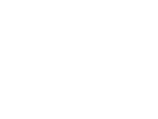 VIP Parties